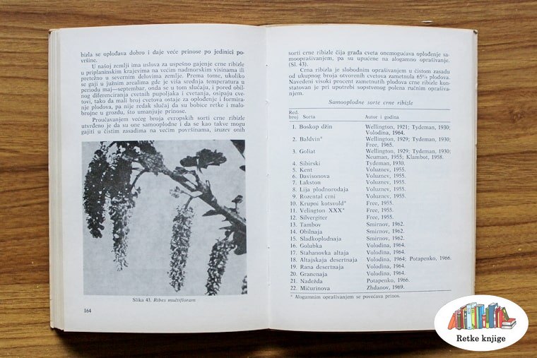 Fotografije u knjizi cvetova leske