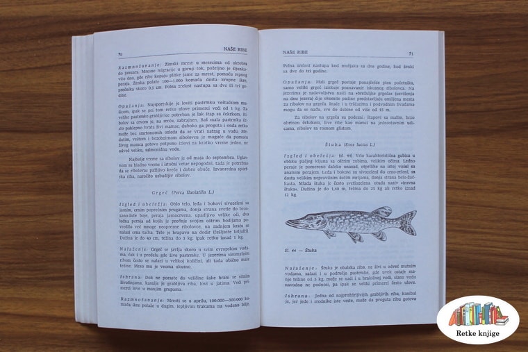 Prikaz štuke i opis ove ribe