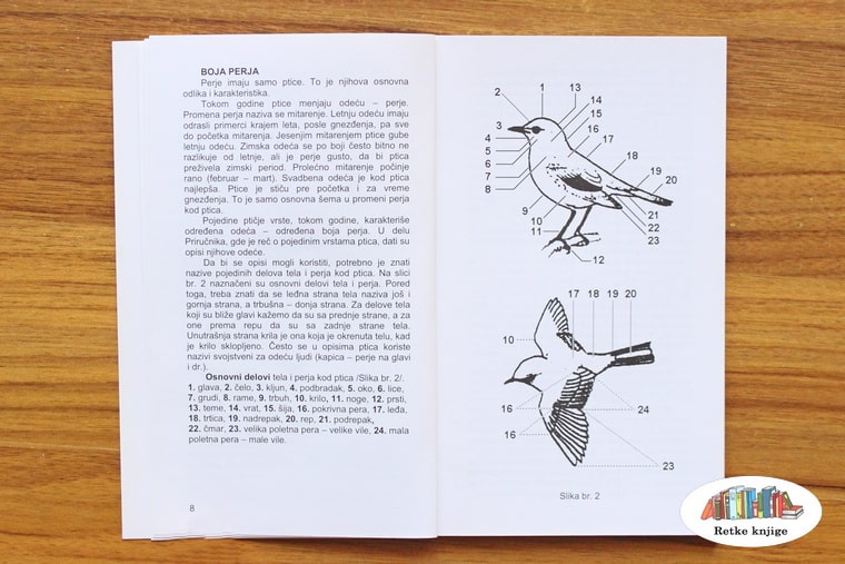 opis i imenovanje dlova tela ptica