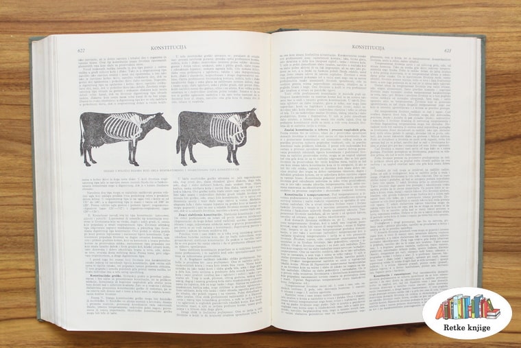 prikaz tipova i opis goveda