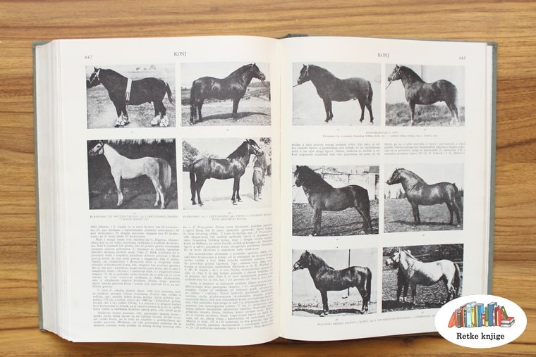prikaz slika konja u enciklopediji