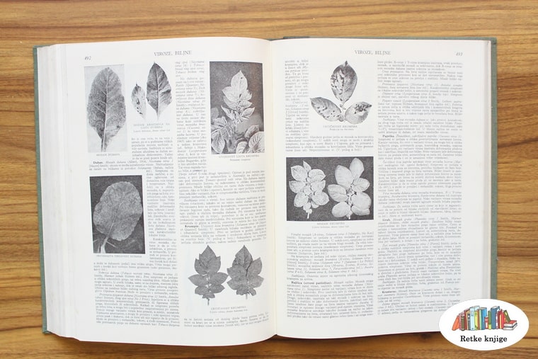 prikaz i opis bolesti listova