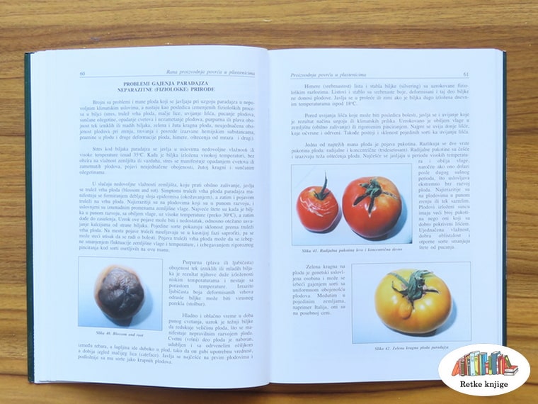 bolesti plodova paradajza sa opisom
