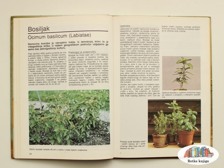 prikaz biljke bosiljak