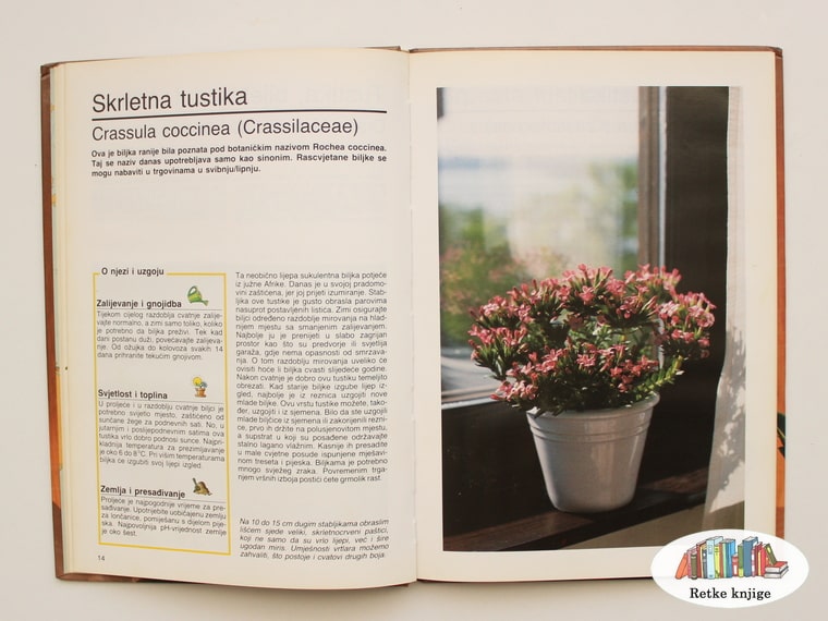 prikaz i opis biljke Skarletna tustika