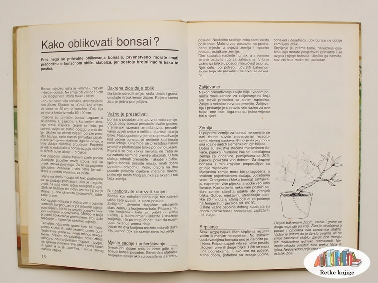 poglavlje o načinima oblikovanja bonsaija