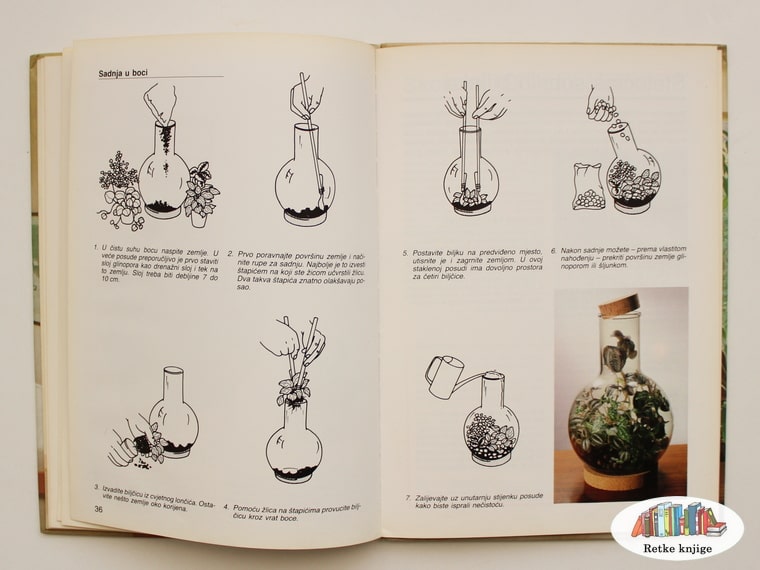 crteži kako se sade ukrasne biljke u staklene posude