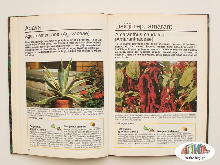 prikaz agave i amaranta