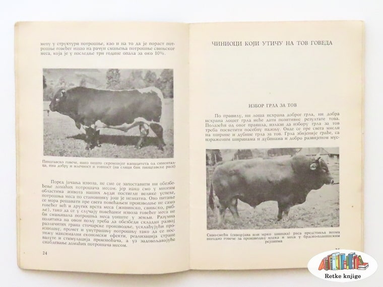 poglavlje o činicima koji su bitni za tov krava